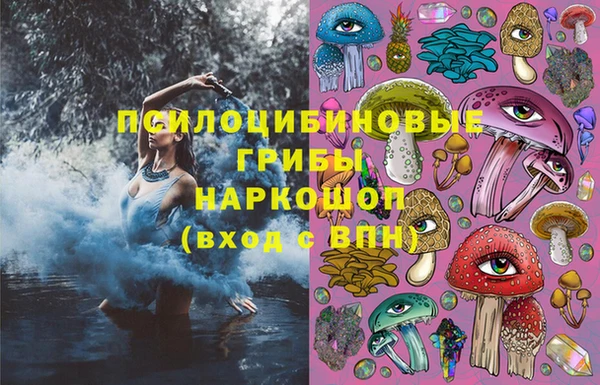 шишки Уссурийск
