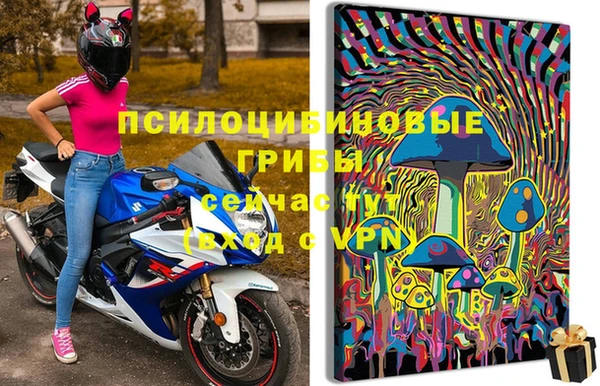 экстази Кукмор