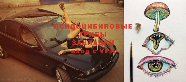 шишки Куйбышев